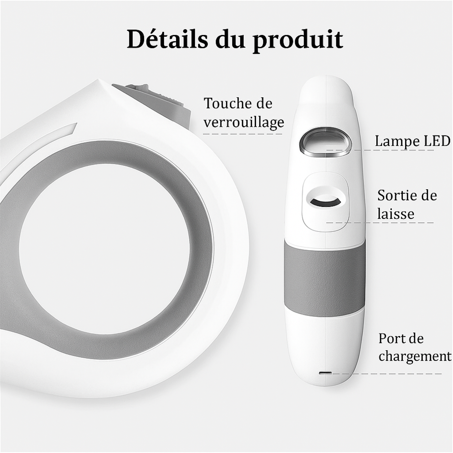 Laisse LED mains libres qui éclaire vos balades