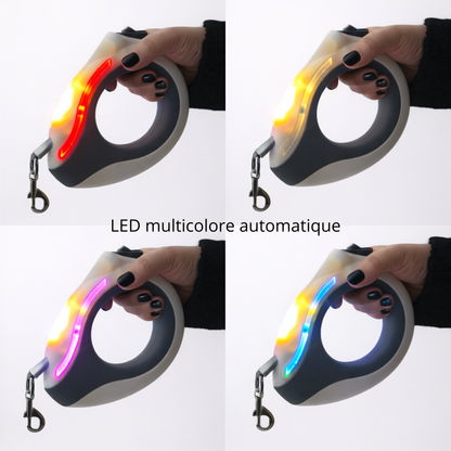 Laisse LED mains libres qui éclaire vos balades