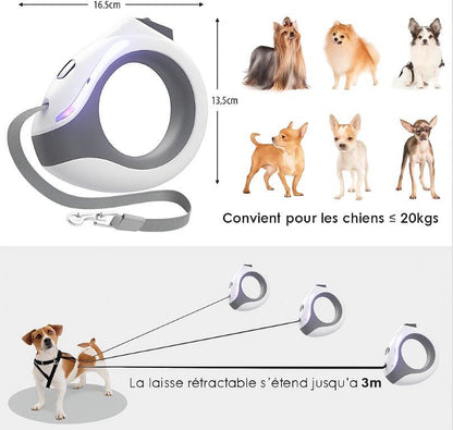 Laisse LED mains-libres