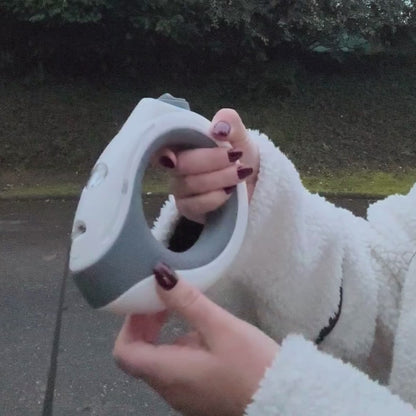 Laisse LED mains libres qui éclaire vos balades