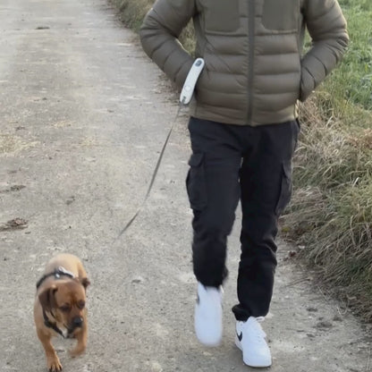 Laisse LED mains libres qui éclaire vos balades